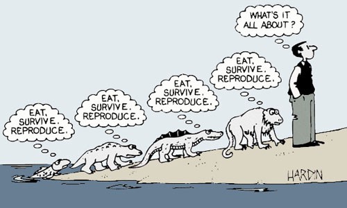 eat_survive_reproduce