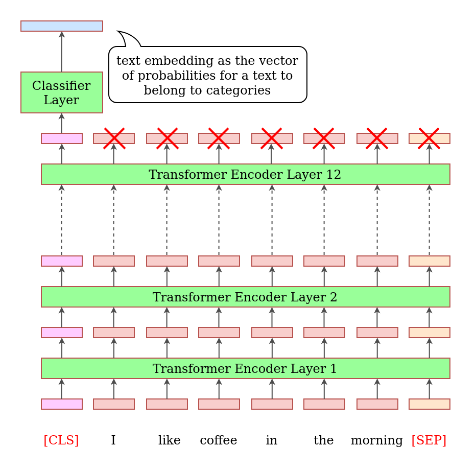 BERT-based classifier